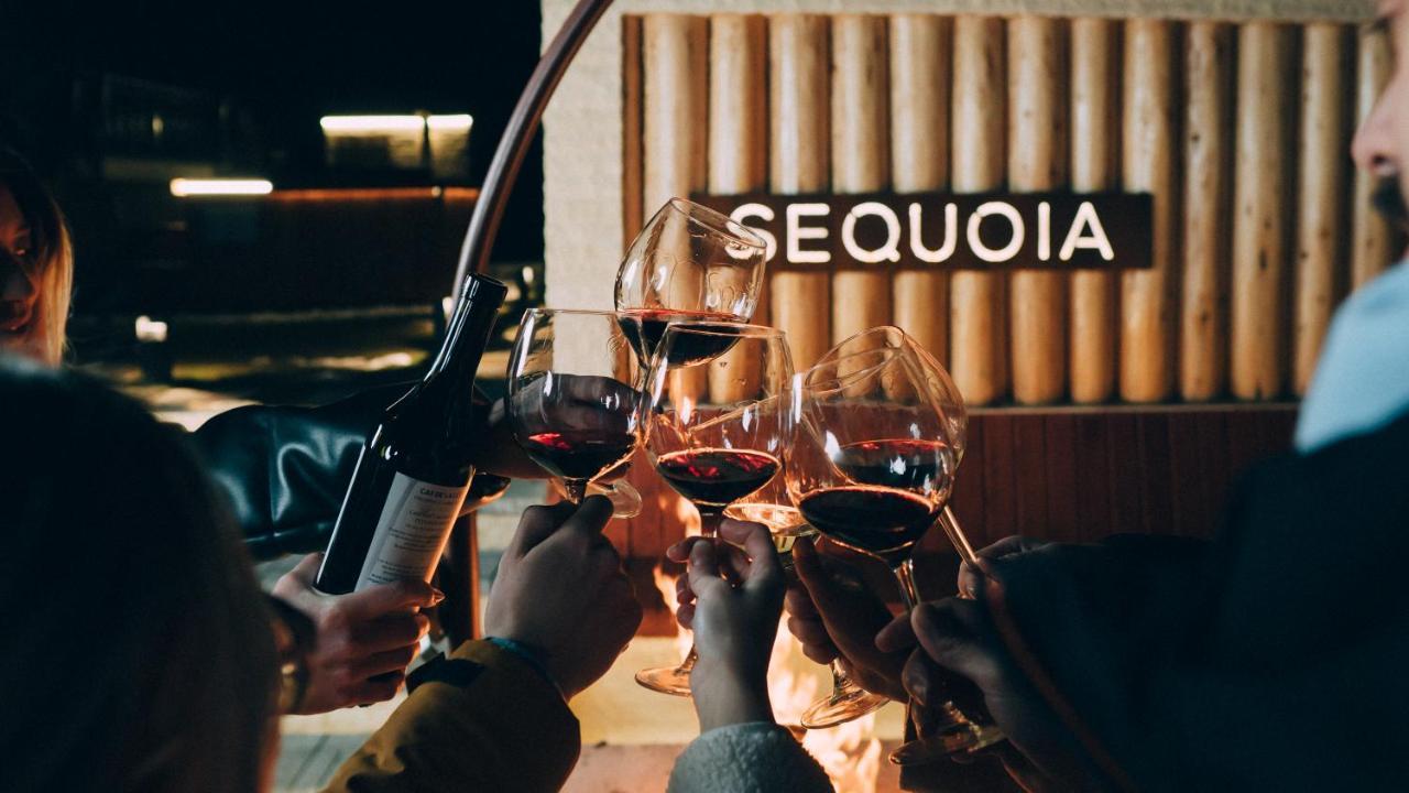 Roots Villa Sequoia ブラショフ エクステリア 写真