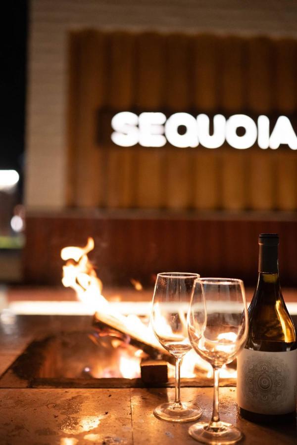 Roots Villa Sequoia ブラショフ エクステリア 写真